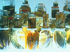 CLEANROOMS