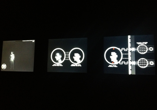 Living Mirror: Installation