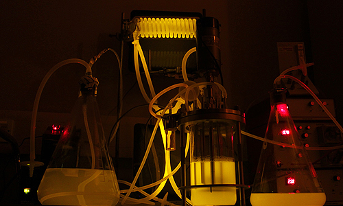 SYNTHETIC BIOLOGY: MACHINE OR LIFE?