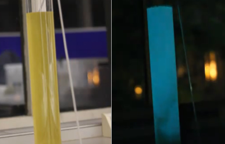 The Bacterial Bubble Lamp, Cambridge iGEM 2010, Stills of video screening. A bubble lamp made from a culture of genetica