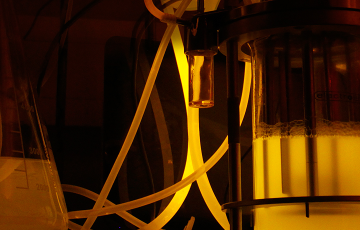 Howard Boland (C-LAB), 'Stress-o-stat', 2011. Synthetic Biology: Machine or Life?, Dana Centre, Science Museum, London, 