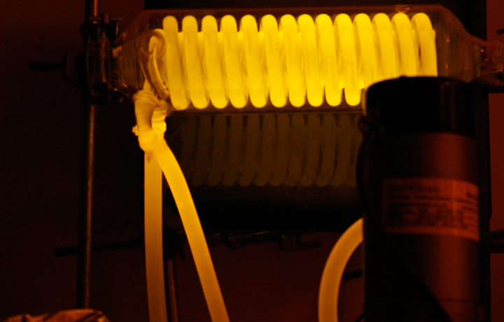 Howard Boland (C-LAB), 'Stress-o-stat', 2011. Synthetic Biology: Machine or Life?, Dana Centre, Science Museum, London, 