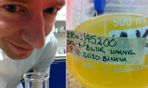 Howard Boland, 'Banana Bacteria', 2011