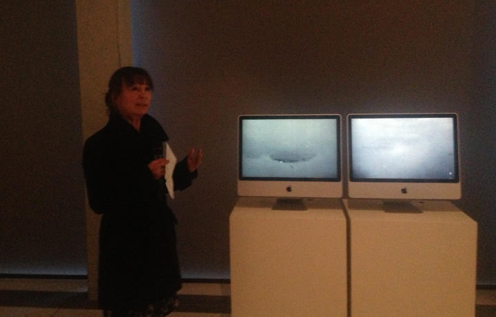 Deborah Robinson giving a talk on her artwork Parasite, Evaporation of Things, March 2013