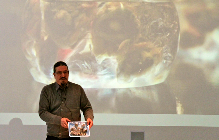 Oron Catt's Thing (fish eyes), Evaporation of Things, March 2013