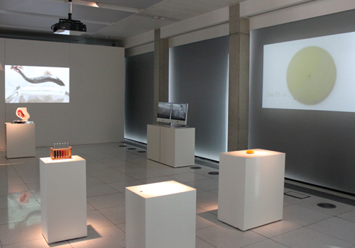 Exhibits