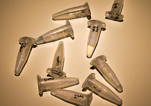 Stress-o-stat (2011)