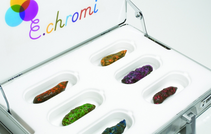 E. Chromi (2009), Alexandra Daisy Ginsberg (UK), James King (UK) & the University of Cambridge iGEM 2009 team 