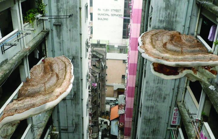 New Mumbai (2012), Tobias Revell
