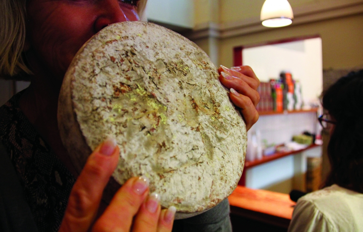 Selfmade (2013), Christina Agapakis & Sissel Tolaas 