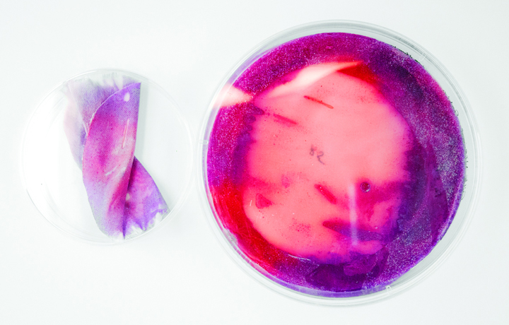 Faber Futures: The Rhizosphere Pigment Lab (2013), Natsai Audrey Chieza in collaboration with Professor John Ward.