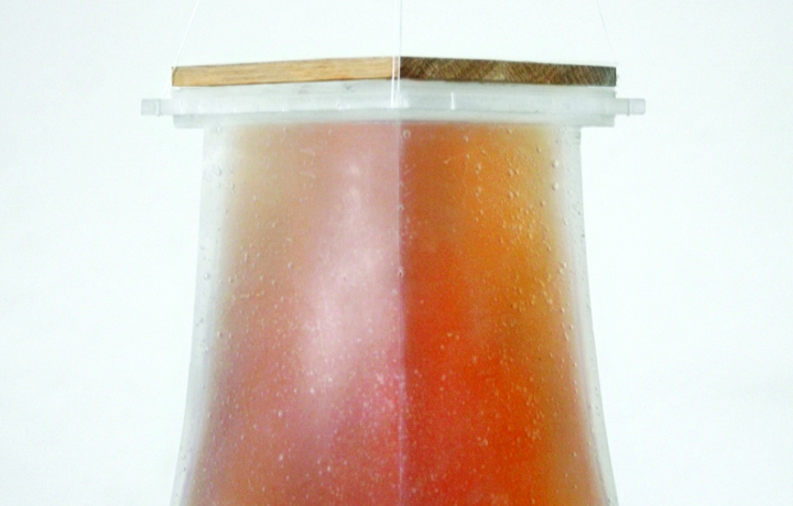 Xylinum Cones (2013), Stefan Schwabe & Jannis Hulsen