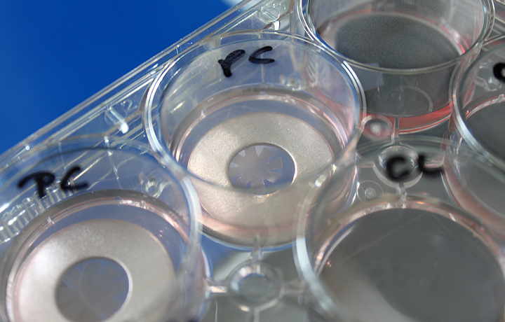 Not Invented by Nature: Helmholtz Initiative Synthetic Biology, German Cancer Research Center - DKFZ, Heidelberg, German
