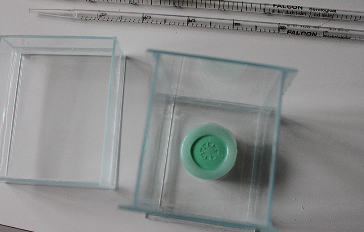 Not Invented by Nature: Helmholtz Initiative Synthetic Biology, German Cancer Research Center - DKFZ, Heidelberg, German