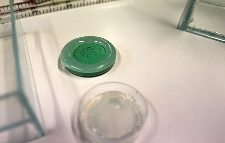 Not Invented by Nature: Helmholtz Initiative Synthetic Biology, German Cancer Research Center - DKFZ, Heidelberg, German