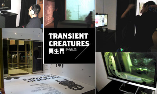 TRANSIENT CREATURES