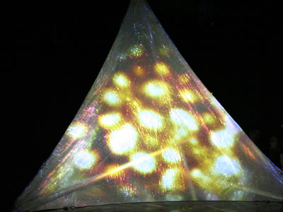 Anne Niemetz & Andrew Pelling, The Dark Side of the Cell, Transient Creatures, Microwave International New Media Arts Fe