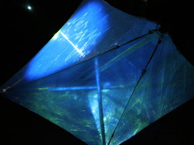 Anne Niemetz & Andrew Pelling, The Dark Side of the Cell, Transient Creatures, Microwave International New Media Arts Fe