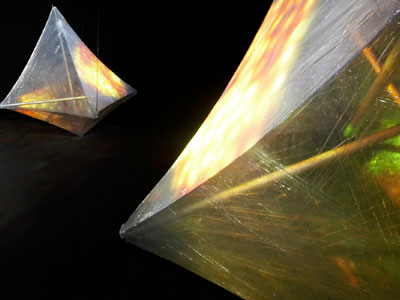 Anne Niemetz & Andrew Pelling, The Dark Side of the Cell, Transient Creatures, Microwave International New Media Arts Fe