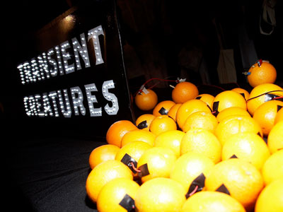 Oranges used to power officiating ceremony, Transient Creatures, Microwave International New Media Arts Festival 2008, H
