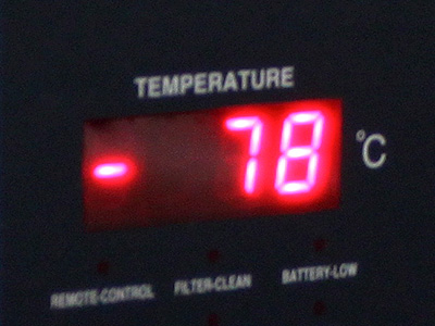 There are several fridges in the lab the coldest being around -80&deg;C and  is used to store bacteria and DNA &copy; c-