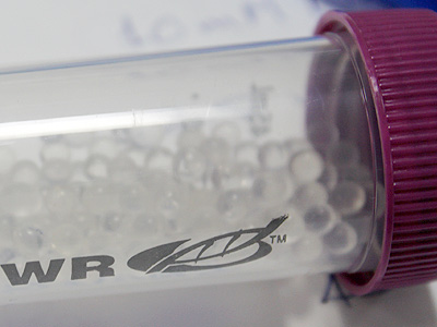 The glassbeads are used to evenly spread the moist broth of bacteria around the media &copy; c-lab 2009