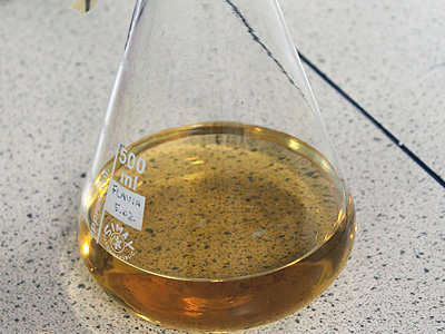 Bacteria food, prepared LB-Agar before autoclaving. The Agar turns solid after a short period but can be reheated in the