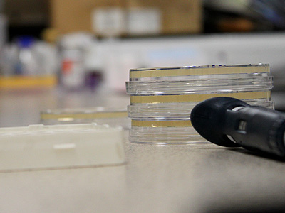 A stack of prepared plates ready to for storage &copy; c-lab 2009 