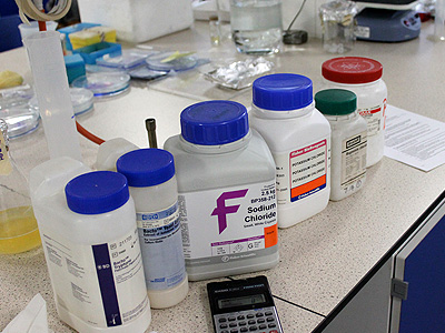 Making SOB, Super Optimal Broth, part of what  will help recover bacteria after heatshock. In addition, solutions of mag