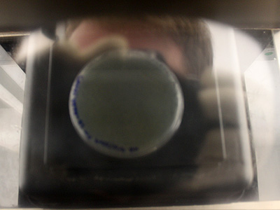 Looking into a UV-transilluminator. Used to visualize plates and also to cut out genetic parts &copy; c-lab 2009