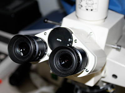 A fluorescent microscope used to visualise individual bacteria. Slides can be either loaded with stains or simply with b