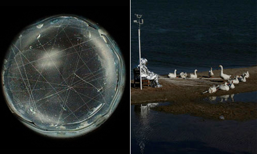 Agnes Meyer-Brandis, left: CCS - Cloud Core Scanner - an artistic experiment in zero gravity, right: Moon Goose Experime