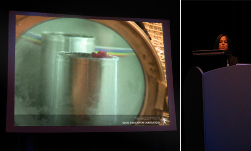 Laura Cinti's presentation The Martian Rose, Inhabiting Space Session, Less Remote - photo Agnes Meyer-Brandis