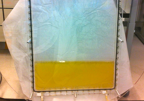 Living Mirror, 2013