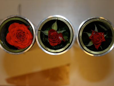 The tubes are specially constructed to fit into the holes inside the chamber forming a carousel allowing us to rotate ea