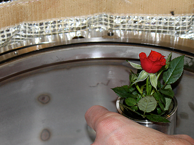 The roses where placed in the carousel with their flowers perking out of the tube in order to provide UV exposure to the