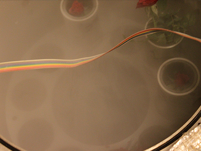  &copy; c-lab 2009