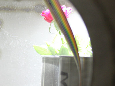 &copy; c-lab 2009