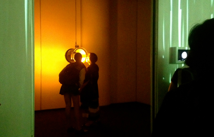 The Martian Rose (2007/9), C-LAB, Microwave International New Media Arts Festival, Hong Kong City Hall, Hong Kong, 2013