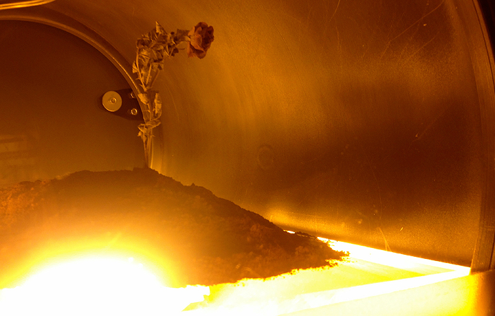 The Martian Rose (2007/9), C-LAB, Microwave International New Media Arts Festival, Hong Kong City Hall, Hong Kong, 2013