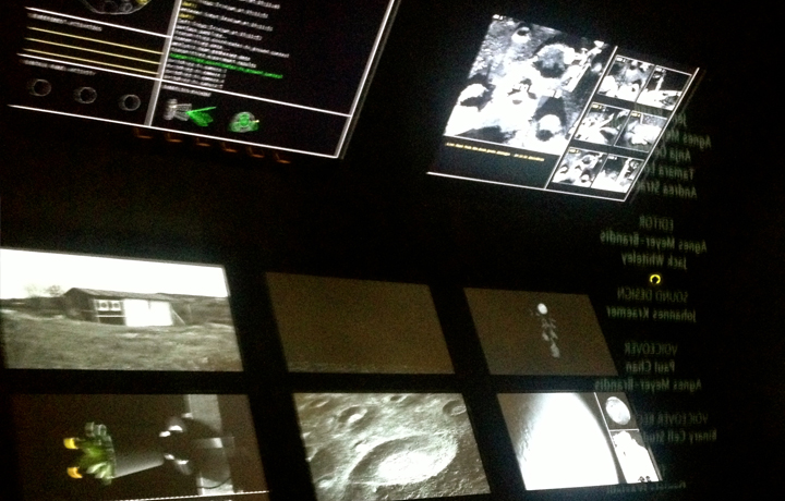 Moon Goose Analogue: Lunar Migration Bird Facility (2011 - ongoing), Agnes Meyer-Brandis, Microwave International New Me