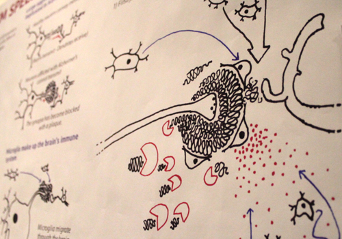 Speed Debate on Synthetic biology and Neuro-ethics at UCL