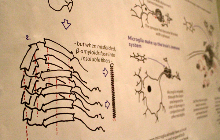 Speed Debate on Synthetic biology and Neuro-ethics