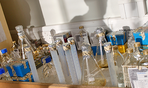 Post autoclave &copy; c-lab 2009