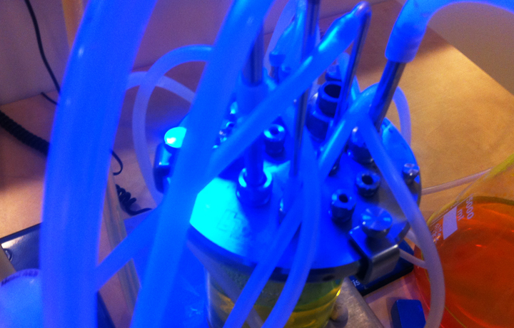The school of biosciences recently moved into the building provided loan of equipment needed for Stress-o-stat