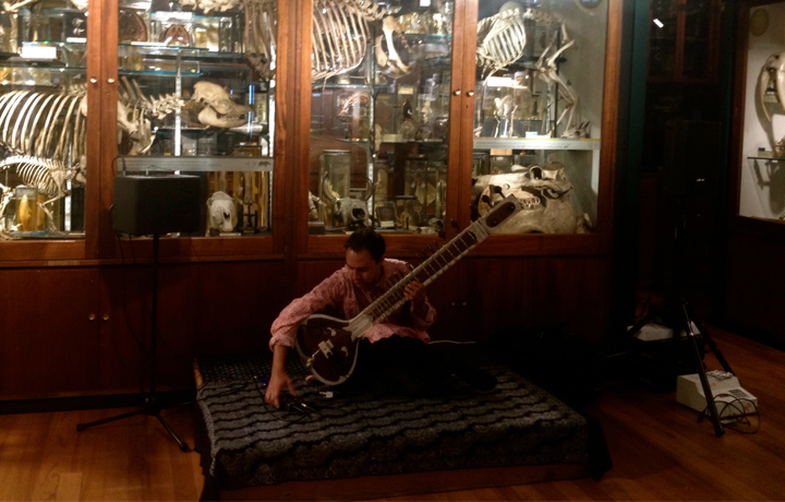 The Sitar Player (Jonathan Mayers)