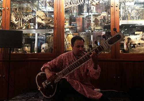 sitarist