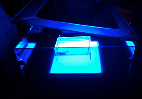 world first public biobrick exhibit