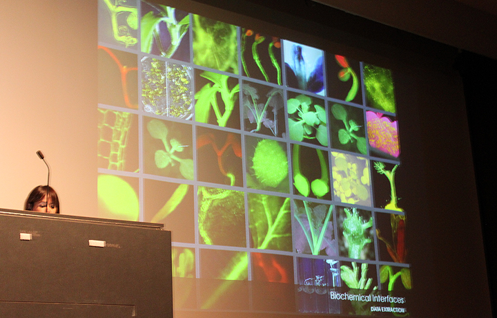 Laura Cinti's presentation: The Sensorial Invisibility of Plants