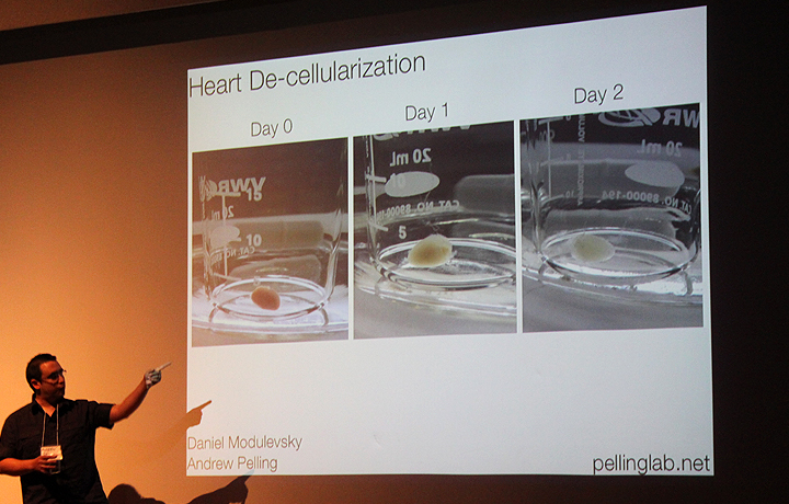 Andrew Pelling's presentation: Bullet and the Biohack - Animating and Repurposing Dead Organs
